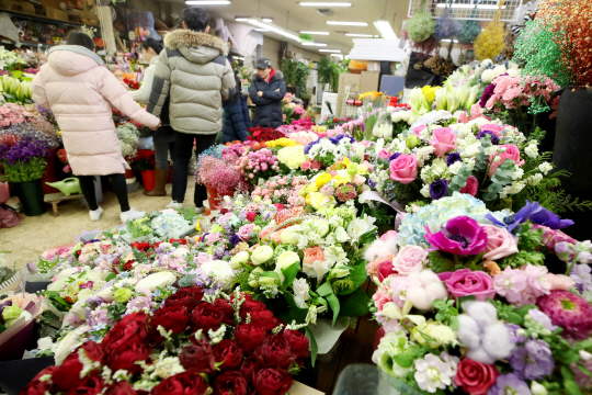 졸업시즌 앞두고 분주한 꽃시장      (서울=연합뉴스) 진연수 기자 = 졸업시즌이 다가오고 있는 14일 오후 서울 서초구 양재동 화훼공판장을 찾은 시민들이 꽃을 둘러보고 있다. 2018.1.14        jin90@yna.co.kr  (끝)      <저작권자(c) 연합뉴스, 무단 전재-재배포 금지>