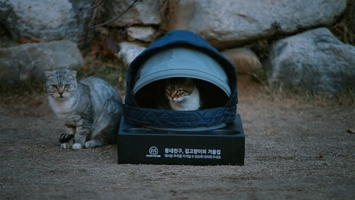 패딩 모자로 만든 길고양이 겨울집 ‘후드하우스’/ 제일기획 제공