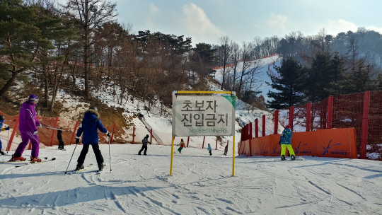 [예의를 지킵시다]스키 초보가 활강 욕심에 '충돌·부상 민폐'…슬로프 중간서 '셀카'까지