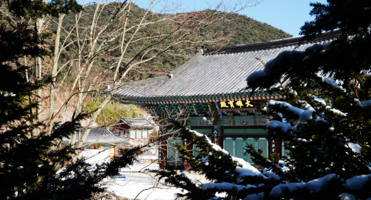 [休 -경북 의성]최치원 흔적 깃든 고운사... 관수루 처마 본뜬 낙단보