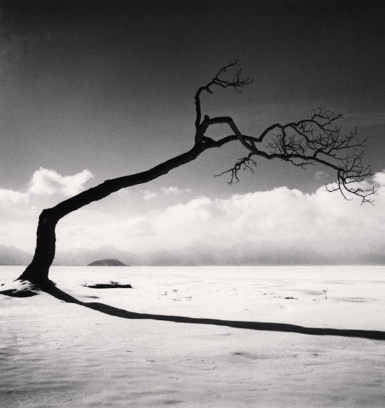 마이클 케나 ‘쿠샤로 호수의 나무, 일본 홋카이도’ ⓒ Michael Kenna /사진제공=공근혜갤러리