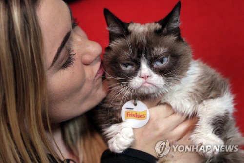 ‘뚱한 고양이’, 얼굴 무단 사용한 커피회사에 7억원 승소