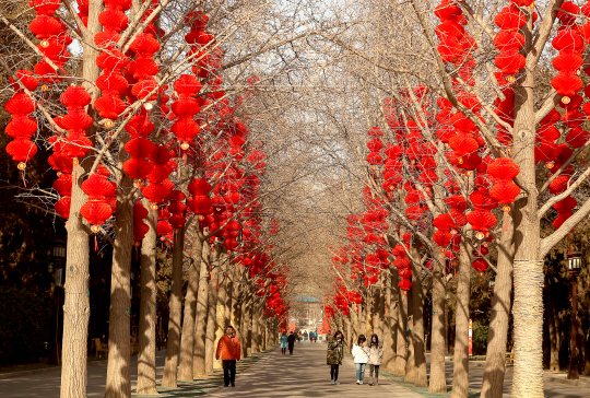 25일 중국 베이징의 한 거리에 춘절 기념 장식이 설치되고 있다. / (UPI)연합뉴스