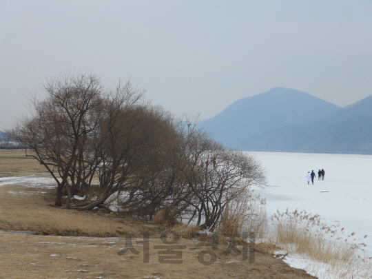 남양주의 생태공원인 ‘물의 정원’을 찾은 여행객들이 맹추위에 얼어 붙은 강 위를 걷고 있다.