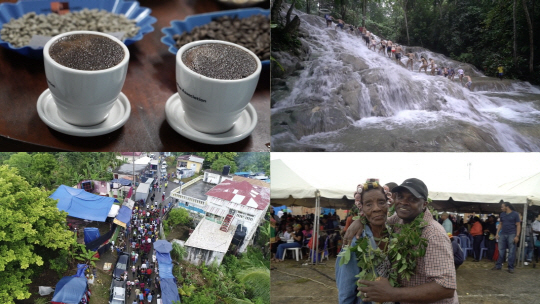‘세계테마기행’ 카리브 제도 4부…‘커피향이 흐르는 축복의 땅’