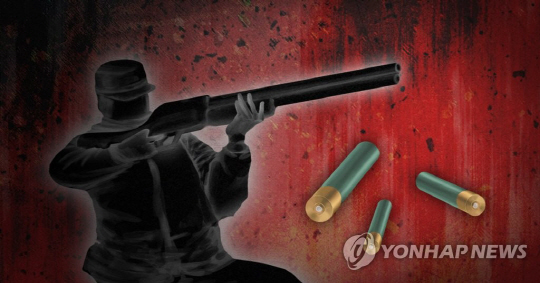 제주에서 60대 남성이 공기총 오발사고로 불법 총기 소지 사실이 경찰에 적발됐다./연합뉴스