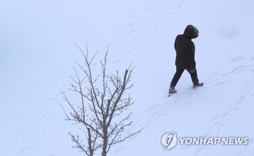 제주도에 많은 눈이 내린 5일 오전 한 시민이 제주시 청사로를 가고 있다./ 연합뉴스