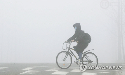 한 남성이 자전거를 타고 횡단보도를 건너고 있다./연합뉴스