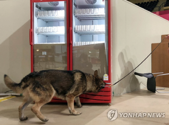 육군 “주둔지 이탈한 평창올림픽 지원 군견 발견해 부대 복귀”