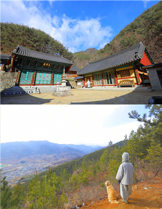 ‘한국기행’ 경남 산청 문수암 기영스님과 강아지 보리의 겨울나기