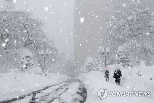 일본 호쿠리쿠 지방, 37년 만에 최대 ‘눈폭탄’…적설량 ‘136cm’