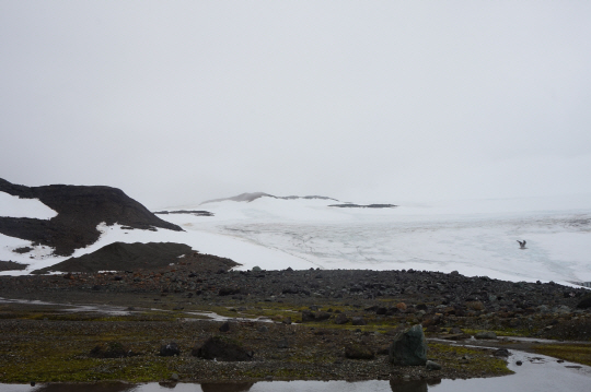 지난 달 27일(현지시간) 남극 세종과학기지에서 1시간 거리에 위치한 포터 소만 앞에 150m 빙퇴석 지대가 형성됐다. 그만큼 빙하가 후퇴한 것이다. /남극 세종과학기지=강광우기자