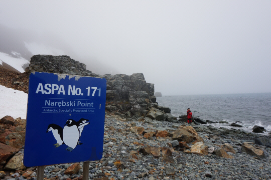 남극 세종과학기지 인근의 남극특별보호구역을 알리는 표지판.  /남극 세종과학기지=강광우기자