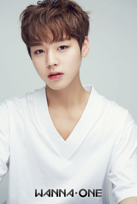 워너원 박지훈, 고교 졸업 이후 중앙대 연영과 진학 ‘컴백도 예정’