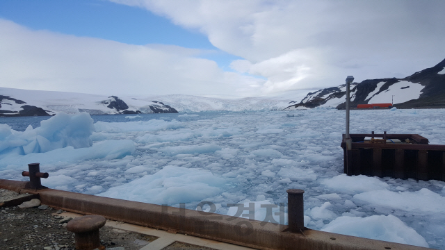 지난 1월29일(현지시간)마리안 소만의 빙벽이 지구온난화로 무너져내려 크고 작은 유빙들이 남극 세종과학기지 부두 앞으로 몰려들고 있다.  /남극 세종과학기지=강광우기자