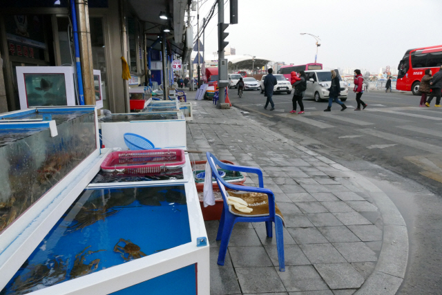 13일포항 죽도시장 초입은 설 대목이지만 한산하기만 하다. /포항=장지승기자