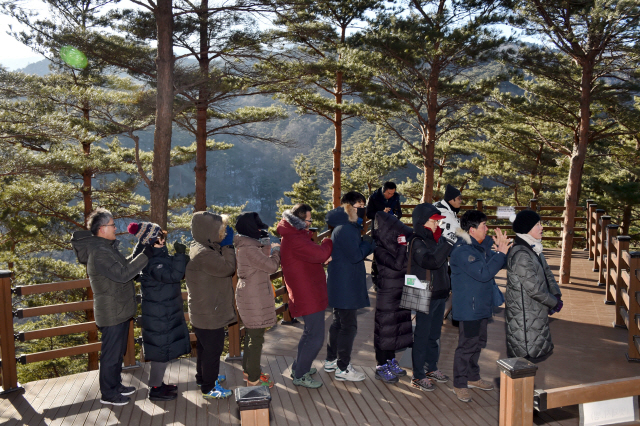 강원도 강릉 대관령자연휴양림에 조성된 치유의 숲을 찾은 방문객들이 산림치유 체험을 하고 있다. /사진제공=산림청