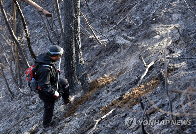 삼척 산불 닷새 만에 사실상 진화 완료…산림 117㏊ 잿더미