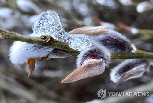 19일 ‘우수’ 입춘에 들어서기 전 찾아오는 절기