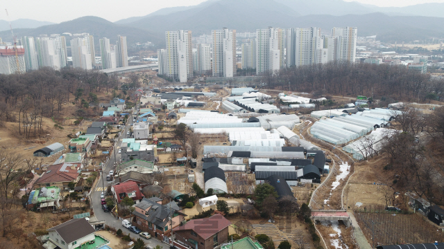 서울 서초구 양재동 송동마을 전경. 주변 서초공공주택지구의 아파트 단지들과 송동마을의 저층 주택들의 모습이 대비된다. /사진=서초구청