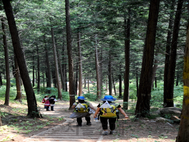 여성들이 지리산둘레길에서 트레킹을 하고 있다. 사진제공=산림청