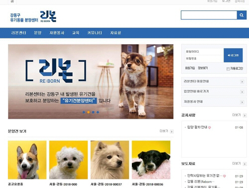 강동구, 유기견 정보 한눈에 보는 '리본센터' 홈페이지 개설