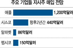 감세로 지갑 두둑해지자…美기업 자사주 폭풍쇼핑