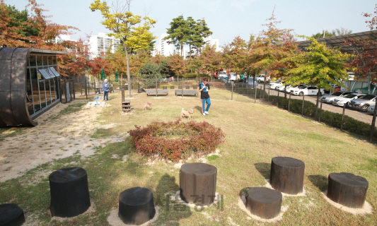 도봉구 반려견 놀이터. /사진제공=도봉구