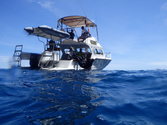 갈라파고스는 태평양을 흐르는 4가지 해류가 교차하는 지점으로 어종이 풍부해 다이버들의 엘도라도로 불린다. 보통 150달러 정도에 키커록·시모어·고든록 등 주요 포인트에 갈 수 있다.