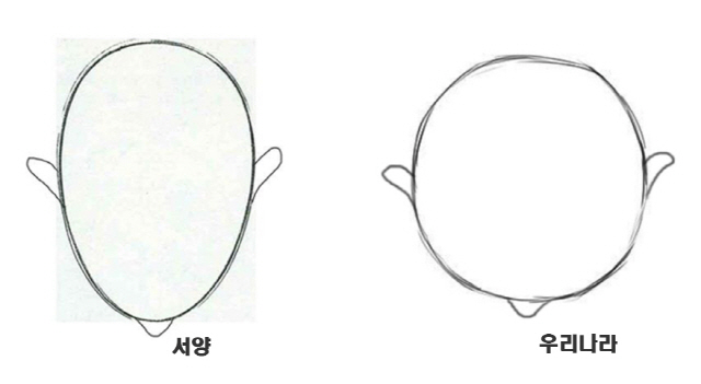 서양인과 한국인의 두상을 비교한 그림.