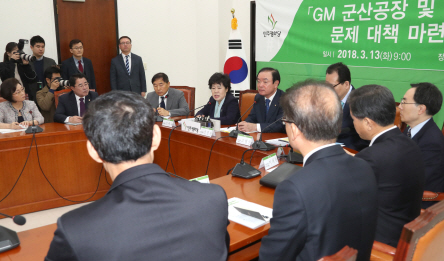 민주평화당 조배숙 대표가 13일 국회에서 열린 GM 군산공장 및 금호타이어 문제 대책 마련 간담회에서 발언하고 있다. /연합뉴스