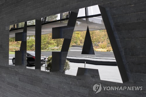 FIFA, 러시아 월드컵서 ‘비디오판독시스템’ 도입 결정