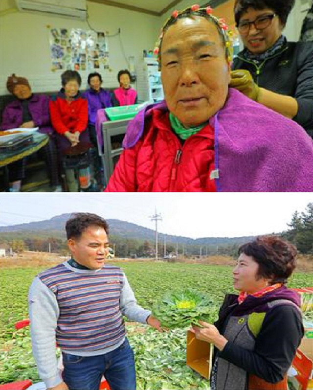 ‘한국기행’ 청산도서 인생 2막, 미용실 부부의 행복한 봄맞이 풍경