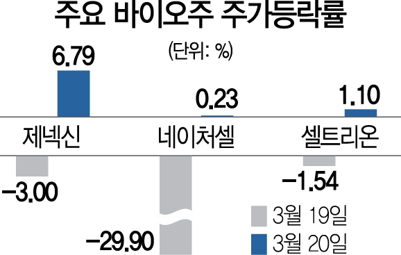 2115A19 주요 바이오주 주가등락률