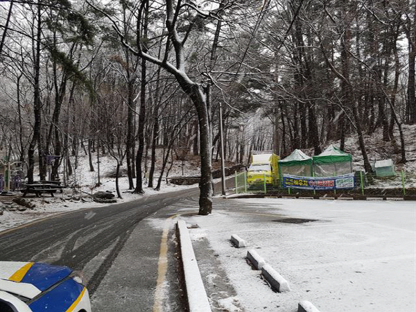 부산 눈 펑펑 “내일 새벽까지 더 내릴 것” 3월에 눈이라니! “눈만 오면 마비되는 부산” 체감온도↓