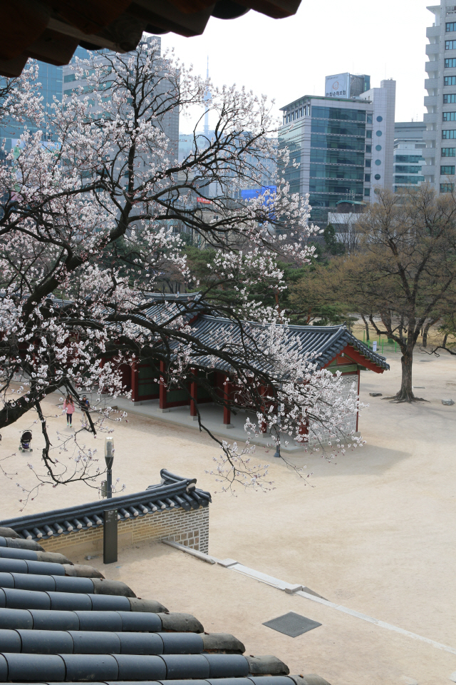 석어당에서 바라본 덕수궁/사진제공=문화재청