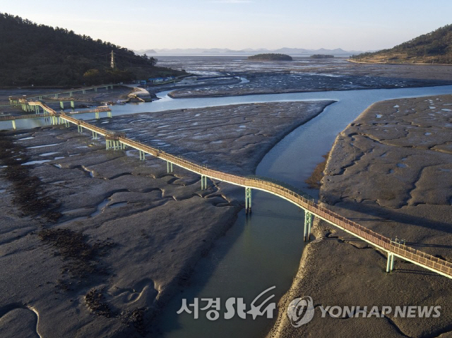 ‘한국의 갯벌’ 세계자연유산 등재 무산…신청서 반려