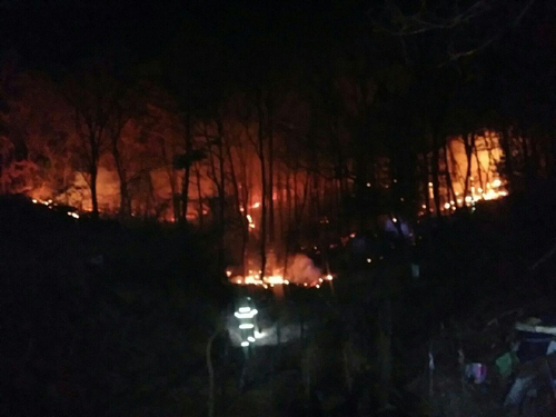 원주 태장동 야산서 불…임야 0.3㏊ 태우고 진화