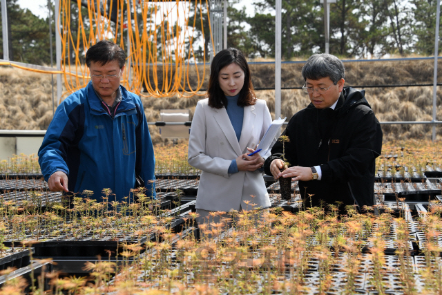 류광수(사진 오른쪽 첫번째) 산림청 차장이 중부지방산림청 양묘장을 찾아 종자 자동 파종기를 살펴보고 있다. 사진제공=산림청