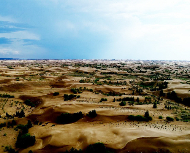산림청이 10년 동안 나무 심기를 실시한 중국 쿠부치사막 전경. /사진제공=산림청
