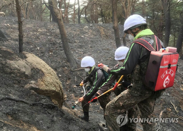 고성 산불 16시간 만에 잔불까지 진화…뒷불 감시체계로 전환