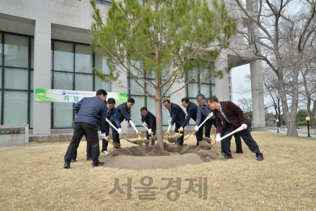 김재현(사진 오른쪽에서 두번째) 산림청장, 박춘섭(〃세번째) 조달청장, 박준하(〃첫번째)정부청사관리본부장 등이 정부대전청사 개청 20주년을 맞아 식목일 기념식수를 하고 있다. 사진제공=정부대전청사관리소