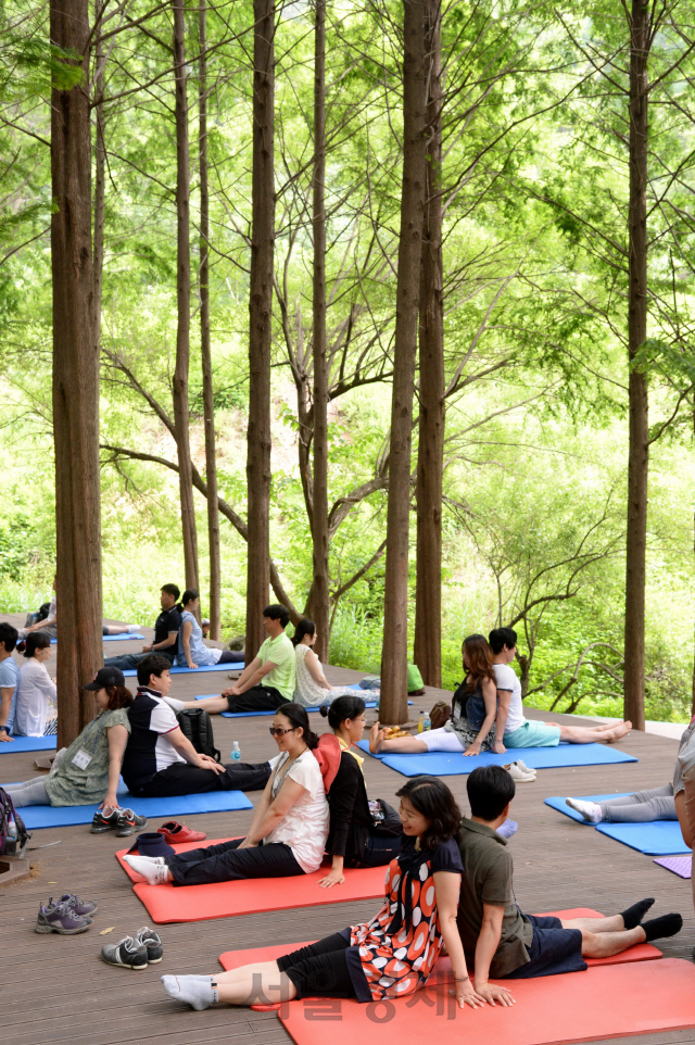 대전시 대덕구 장동산림욕장에서 임산부부들이 숲태교 교실을 체험하고 있다. 사진제공=산림청