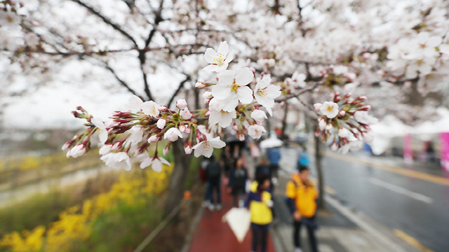 주말 날씨, 미세먼지 걱정 없이 따뜻하고 맑아 ‘나들이 가세요’