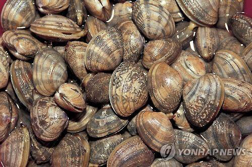 국내산 패류 4종서 ‘미세플라스틱’ 검출…“인체 영향은 제한적”