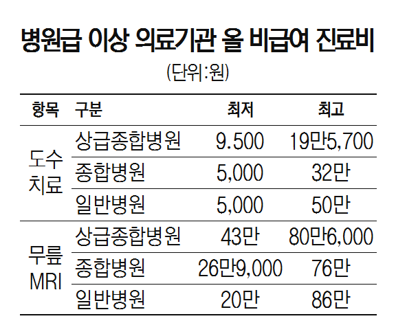 병원급 이상 의료기관 올 비급여 진료비