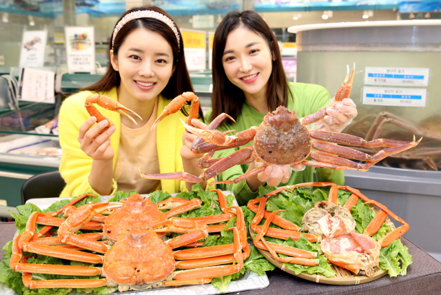 4일 서울 이마트 용산점에서 모델들이 봄철을 맞아 활대게를 선보이고 있다. 이마트는 오는 5일부터 11일까지 일주일간 전국 이마트 점포에서 마리당 900g 내외의 러시아 활대게를 연중 최저가인 39,800원에 판매한다./송은석기자