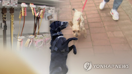 과거 사람을 물었던 개를 또다시 제대로 관리하지 않아 주민을 다치게 한 개의 주인이 벌금형을 선고받았다./연합뉴스