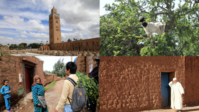 ‘세계테마기행’ 스페인·모로코 4부…‘낯설지만 매혹적인, 인샬라 모로코’