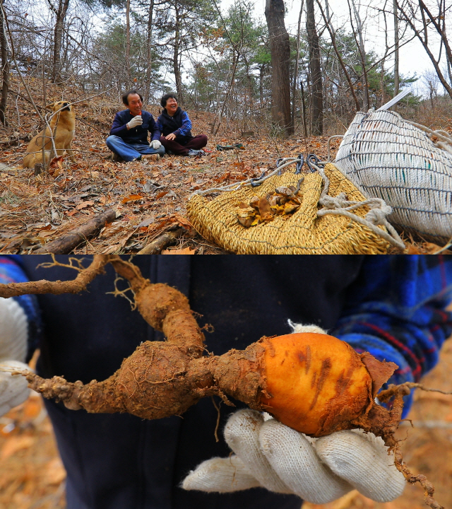 ‘한국기행’ 강원 양양 약초꾼 부부의 80년 된 망태기 이야기